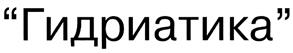 Товарный знак №384048, принадлежит организации Общество с ограниченной ответственностью научно-производственное предприятие "Гидриатика", ОГРН 1045803502150, ИНН 5837021492