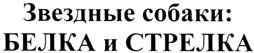 Товарный знак №384082, принадлежит организации Общество с ограниченной ответственностью «КиноАтис», ОГРН 1047796451658, ИНН 7743531082