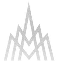 Товарный знак №384276, принадлежит организации Общество с ограниченной ответственностью "Виктор и Ко Мега-Логистик", ОГРН 1066312052124, ИНН 6312066777