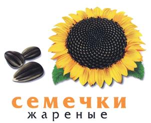 Товарный знак №384806, принадлежит организации Общество с ограниченной ответственностью "компания СКИТ", ОГРН 1027700450106, ИНН 7726223190