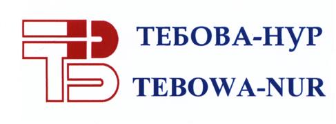 Товарный знак №387099, принадлежит организации Общество с ограниченной ответственностью "ТЕБОВА НУР", ОГРН 1091690031399, ИНН 1616019561