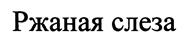 Товарный знак №395735, принадлежит организации Общество с ограниченной ответственностью "Торис", ОГРН 1077847628055, ИНН 7804373196