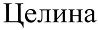 Товарный знак №405641, принадлежит ИП Шилоносова Анастасия Владиславовна, ОГРНИП 321595800086830, ИНН 590417467102