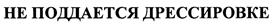 Товарный знак №407940, принадлежит организации Акционерное общество "Пивоварня Москва-Эфес", ОГРН 1027739172042, ИНН 7726260234