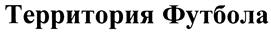 Товарный знак №408230, принадлежит организации Общество с ограниченной ответственностью "Мэйл.Ру Геймз", ОГРН 5077746742211, ИНН 7726567339