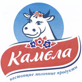 Товарный знак №414714, принадлежит организации Общество с ограниченной ответственностью "Княжий Сокольник", ОГРН 1107447001672, ИНН 7447166979