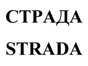 Товарный знак №429752, принадлежит организации Общество с ограниченной ответственностью "Волски Биохим", ОГРН 1025202846734, ИНН 5259032471