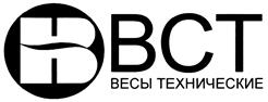 Товарный знак №431480, принадлежит организации Акционерное общество "ВЕС-СЕРВИС", ОГРН 1027807569338, ИНН 7814099626