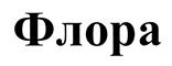 Товарный знак №439173, принадлежит организации Общество с ограниченной ответственностью "ОПУС ТД", ОГРН 1027724003768, ИНН 7724246940