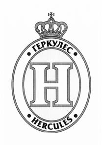 Товарный знак №448553, принадлежит организации Общество с ограниченной ответственностью "Домен", ОГРН 1033902832391, ИНН 3907037350