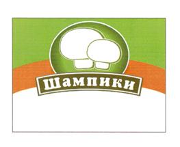 Товарный знак №455775, принадлежит ИП Щипанова Елизавета Дмитриевна, ОГРНИП 318344300084092, ИНН 344817919762