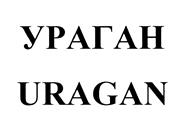 Товарный знак №460867, принадлежит организации Общество с ограниченной ответственностью "А.Д. Спорт Плюс", ОГРН 1137746215606, ИНН 7719839292
