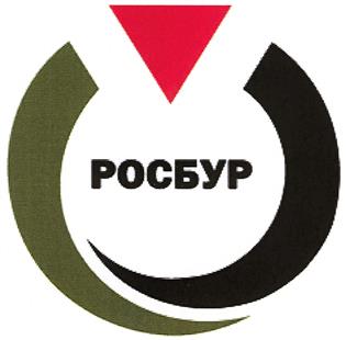 Товарный знак №465333, принадлежит организации Закрытое акционерное общество "Русская буровая корпорация", ОГРН 1107746208382, ИНН 7703717588