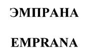 Товарный знак №470835, принадлежит организации Общество с ограниченной ответственностью "ПОДАРОЧНЫЕ СЕРТИФИКАТЫ", ОГРН 1267800017110, ИНН 7817152282