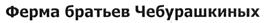 Товарный знак №476689, принадлежит организации Общество с ограниченной ответственностью "Братья Чебурашкины", ОГРН 1065007004787, ИНН 5007052198