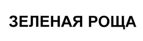Товарный знак №477503, принадлежит организации Общество с ограниченной ответственностью «Сити», ОГРН 1106658009908, ИНН 6658363702