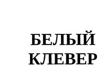 Товарный знак №477884, принадлежит ИП Лаврентьев Дмитрий Анатольевич, ОГРНИП 319583500027914, ИНН 583700937110