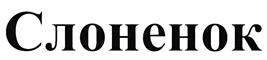 Товарный знак №484541, принадлежит организации Акционерное общество "Аист", ОГРН 1027804903807, ИНН 7830001596