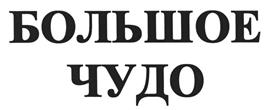 Товарный знак №489999, принадлежит организации Акционерное общество "Славянка-люкс", ОГРН 1143128005910, ИНН 3128102308
