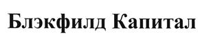 Товарный знак №493744, принадлежит организации Закрытое акционерное общество "Инвестиционная компания "Блэкфилд Капитал", ОГРН 1097746524842, ИНН 7702714344
