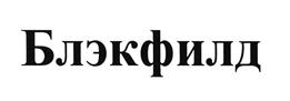 Товарный знак №494938, принадлежит организации Закрытое акционерное общество "Инвестиционная компания "Блэкфилд Капитал", ОГРН 1097746524842, ИНН 7702714344