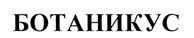 Товарный знак №497080, принадлежит организации Общество с ограниченной ответственностью "ЙолдызСтрой", ОГРН 1121690089245, ИНН 1655260690