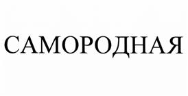 Товарный знак №502635, принадлежит ИП БЕРДНИКОВ ТИМУР ГЕНРИХОВИЧ, ОГРНИП 320169000151489, ИНН 666201619607