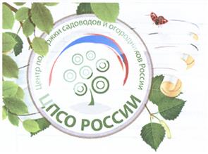 Товарный знак №504583, принадлежит организации Общество с ограниченной ответственностью "ЭрТи-М", ОГРН 1113256002980, ИНН 3250522260