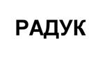 Товарный знак №511015, принадлежит организации Общество с ограниченной ответственностью "РАДУК", ОГРН 1227700398860, ИНН 9705173288