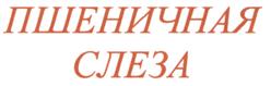 Товарный знак №511896, принадлежит организации Общество с ограниченной ответственностью "Алеант", ОГРН 1071511000219, ИНН 1511015633