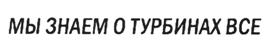 Товарный знак №519621, принадлежит организации Общество с ограниченной ответственностью "Мастертурбо", ОГРН 1079847085955, ИНН 7839369514