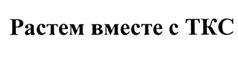 Товарный знак №522373, принадлежит организации Акционерное общество "ТрансКлассСервис", ОГРН 5067746759383, ИНН 7717568287