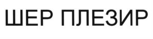 Товарный знак №535084, принадлежит ИП Шкурский Виталий Васильевич, ОГРНИП 314507427400065, ИНН 773609856326
