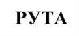 Товарный знак №537544, принадлежит организации Акционерное общество "РУТА", ОГРН 1137746237188, ИНН 7722803610