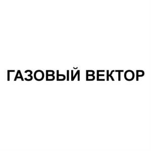 Товарный знак №540227, принадлежит организации Общество с ограниченной ответственностью "Газовый вектор", ОГРН 1127847290196, ИНН 7813535220
