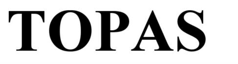 Товарный знак №540331, принадлежит организации Общество с ограниченной ответственностью "ТОП-Инвест", ОГРН 1087746201290, ИНН 7715687144