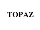 Товарный знак №540333, принадлежит организации Общество с ограниченной ответственностью "ТОП-Инвест", ОГРН 1087746201290, ИНН 7715687144