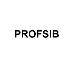 Товарный знак №542138, принадлежит ИП Каурдаков Вячеслав Игоревич, ОГРНИП 318547600023380, ИНН 541076293125