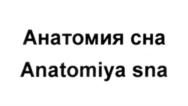 Товарный знак №544335, принадлежит организации Общество с ограниченной ответственностью "АНАТОМИЯ СНА", ОГРН 1163328051787, ИНН 3315012492