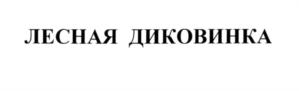 Товарный знак №549749, принадлежит организации Общество с ограниченной ответственностью "Страховое агентство "Коннект-Регион", ОГРН 5137746019802, ИНН 7720795385