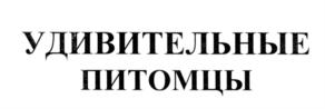 Товарный знак №553990, принадлежит организации Общество с ограниченной ответственностью "Овермобайл", ОГРН 1115476129603, ИНН 5408290672
