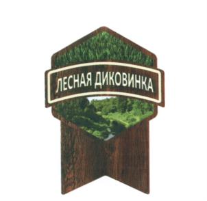 Товарный знак №554155, принадлежит организации Общество с ограниченной ответственностью "Страховое агентство "Коннект-Регион", ОГРН 5137746019802, ИНН 7720795385