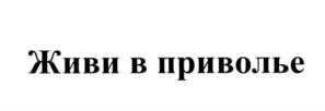 Товарный знак №554979, принадлежит организации Общество с ограниченной ответственностью "КВЭСТО", ОГРН 1145476165262, ИНН 5402001229