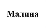 Товарный знак №560423, принадлежит организации Общество с ограниченной ответственностью "Дедал-сервис", ОГРН 1026101930414, ИНН 6143038589