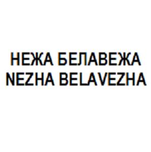 Товарный знак №560608, принадлежит ИП Тимофеев Иван, ОГРНИП 319631300136266, ИНН 638204757102