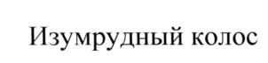 Товарный знак №563393, принадлежит организации Общество с ограниченной ответственностью "МАШУК", ОГРН 1157746919340, ИНН 7722342013