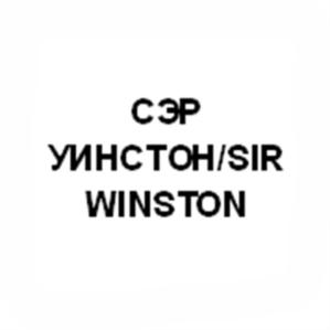 Товарный знак №564664, принадлежит организации Общество с ограниченной ответственностью "Русское качество", ОГРН 1161690144934, ИНН 1660279054