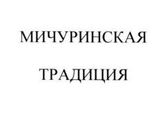 Товарный знак №565863, принадлежит ИП Минчев Игорь Евгеньевич, ОГРНИП 311682936300071, ИНН 683205875743