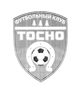 Товарный знак №565951, принадлежит организации Общество с ограниченной ответственностью «ИТНОК», ОГРН 1027809190485, ИНН 7825473297