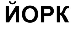 Товарный знак №569199, принадлежит организации Общество с ограниченной ответственностью "СНЭК-концепт", ОГРН 1137847443821, ИНН 7840498070